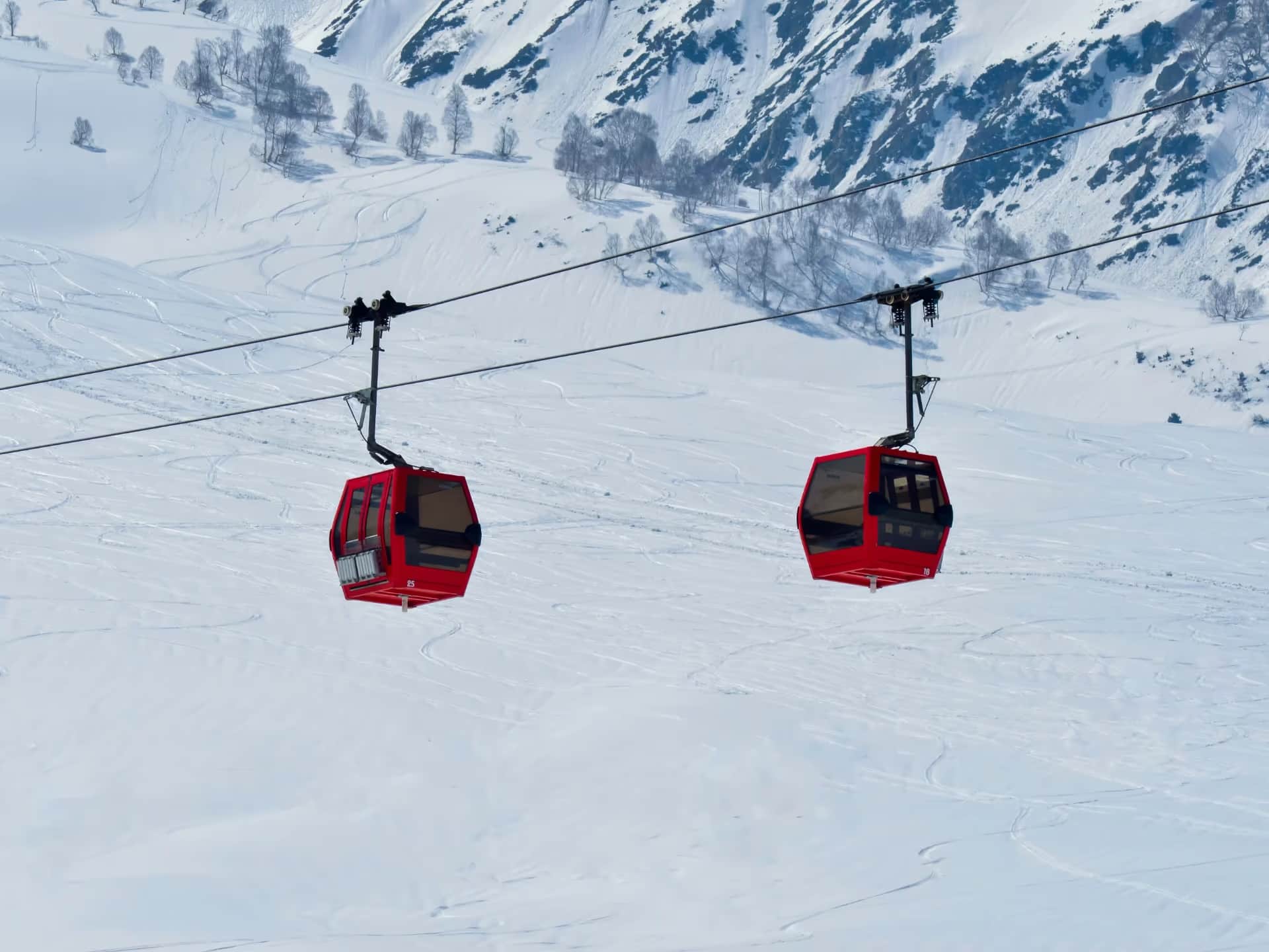 Gulmarg Gondola and Alpine Day