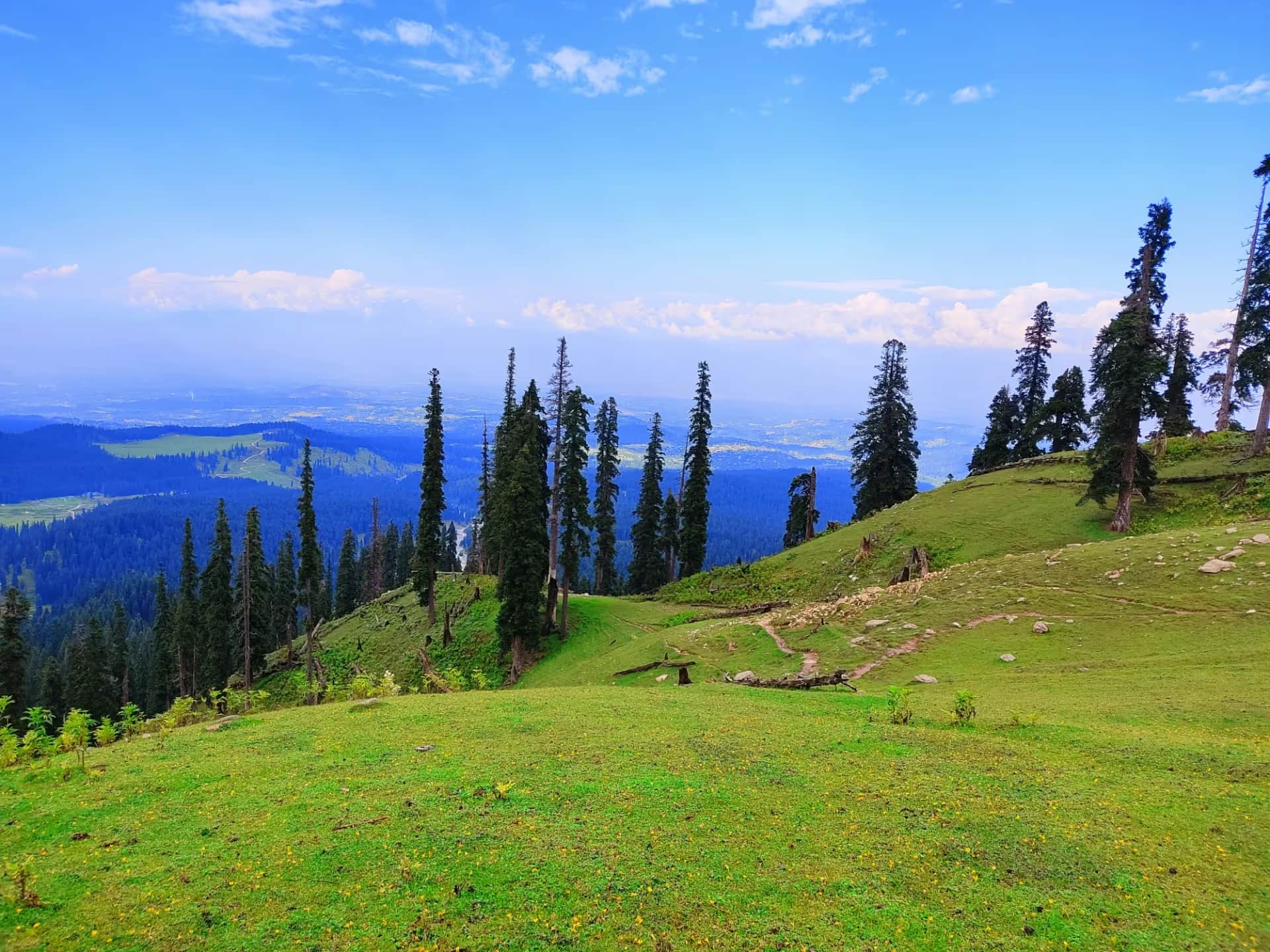 Doodhpathri – Kashmir’s Meadow Escape