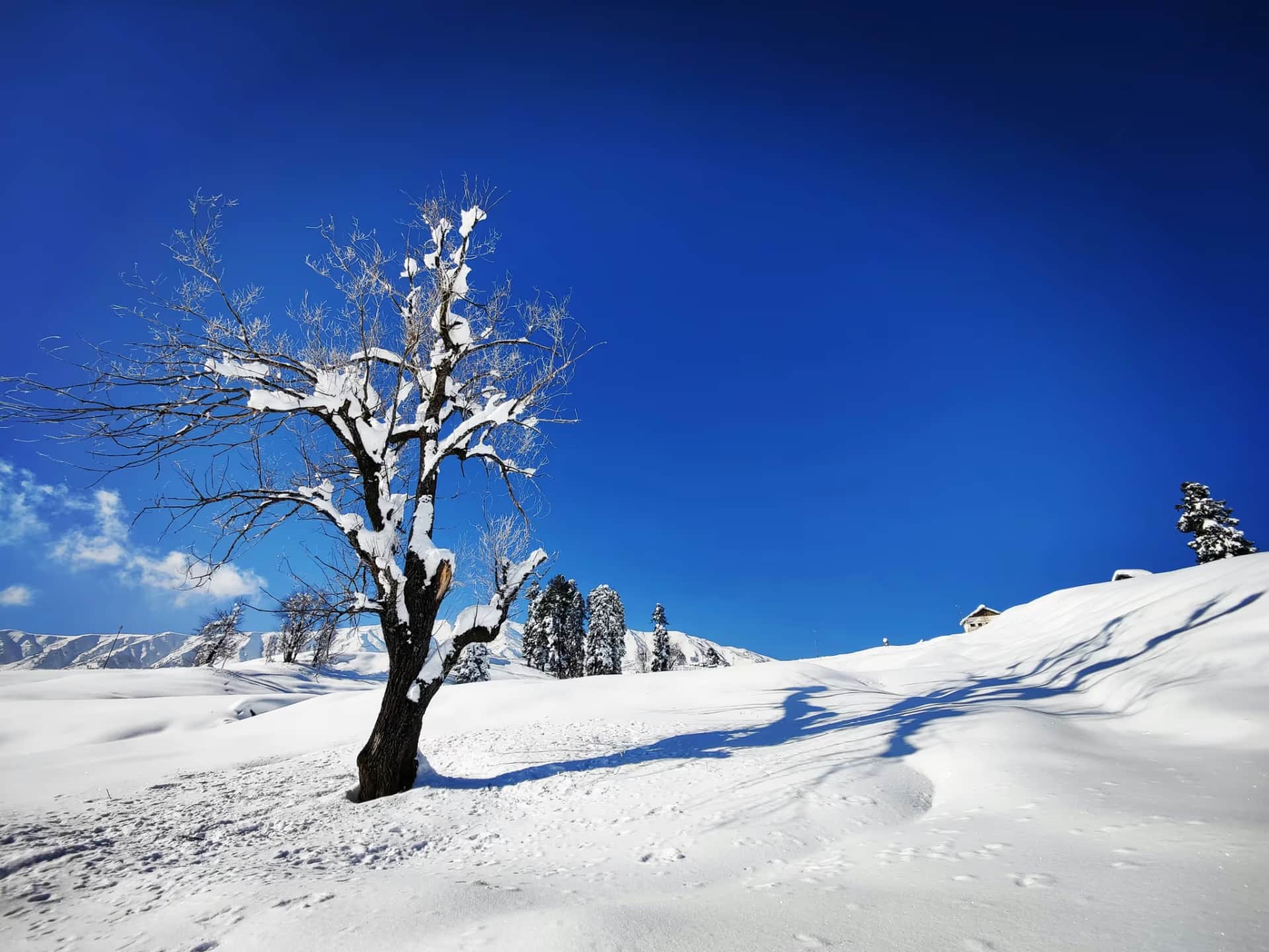 Gulmarg Winter Wonderland view 1